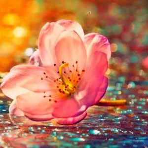 Meet your Posher, Esther